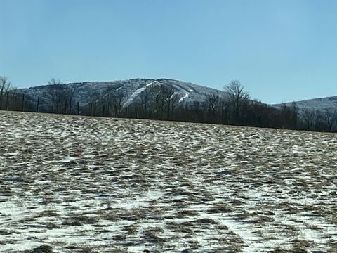 Photo of TBD Mallow lake Drive, Davis, WV 26260 (MLS # 10163021)