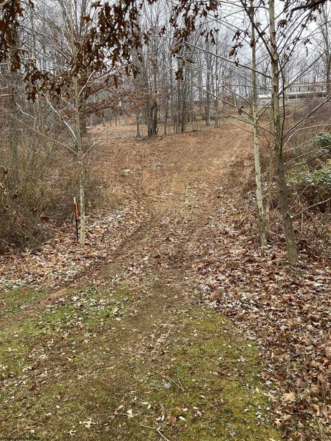Photo of 26-82 DOE Lane, Buckhannon, WV 26201 (MLS # 10162675)