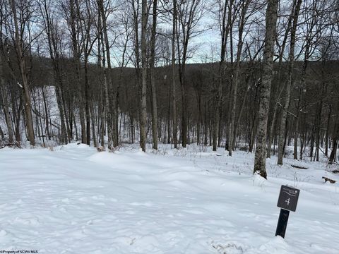 Photo of Lot 4 Trailwood Circle, Bruceton Mills, WV 26525 (MLS # 10163229)