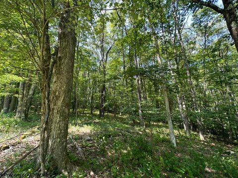 Photo of 106 & 107 Lakeview Drive, Terra Alta, WV 26764 (MLS # 10155739)