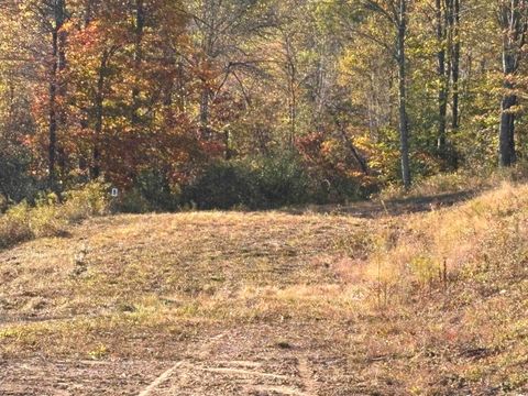 Photo of Lot 18 Island Road, Junior, WV 26275 (MLS # 10162095)