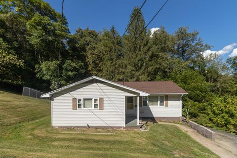 Photo of 256 W Woodland Avenue, Clarksburg, WV 26301 (MLS # 10161377)
