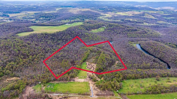 ADDRESS PRIVATE, BRUCETON MILLS, WV 26525 - Image 474c21814e0bd2c312dbcecfee32eae6/2255187944