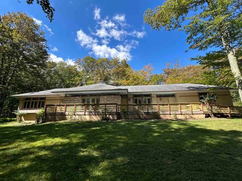 Photo of 57 Sand Springs Drive, Davis, WV 26260 (MLS # 10161498)