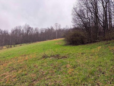 Photo of 0 Bear Mountain Road, Flemington, WV 26347 (MLS # 10164047)