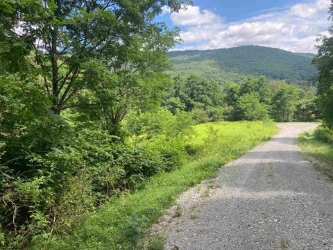 Photo of Lot 132 Sunset Mountain Village Drive, Slaty Fork, WV 26291 (MLS # 10160907)