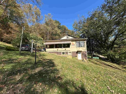 Photo of 130 Otter Lane, Gassaway, WV 26624 (MLS # 10162293)