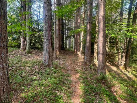 Photo of Lot 70 Monte Carlo Court, Davis, WV 26260 (MLS # 10165002)
