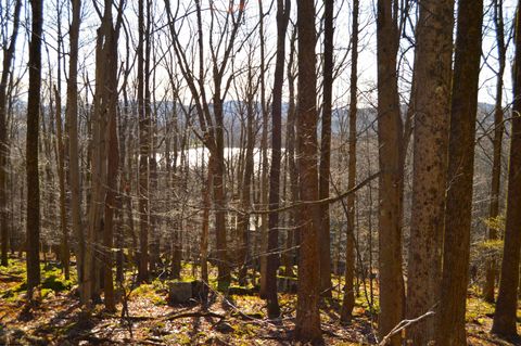 Photo of Lot 154 Daisy Drive, Terra Alta, WV 26764 (MLS # 10162554)
