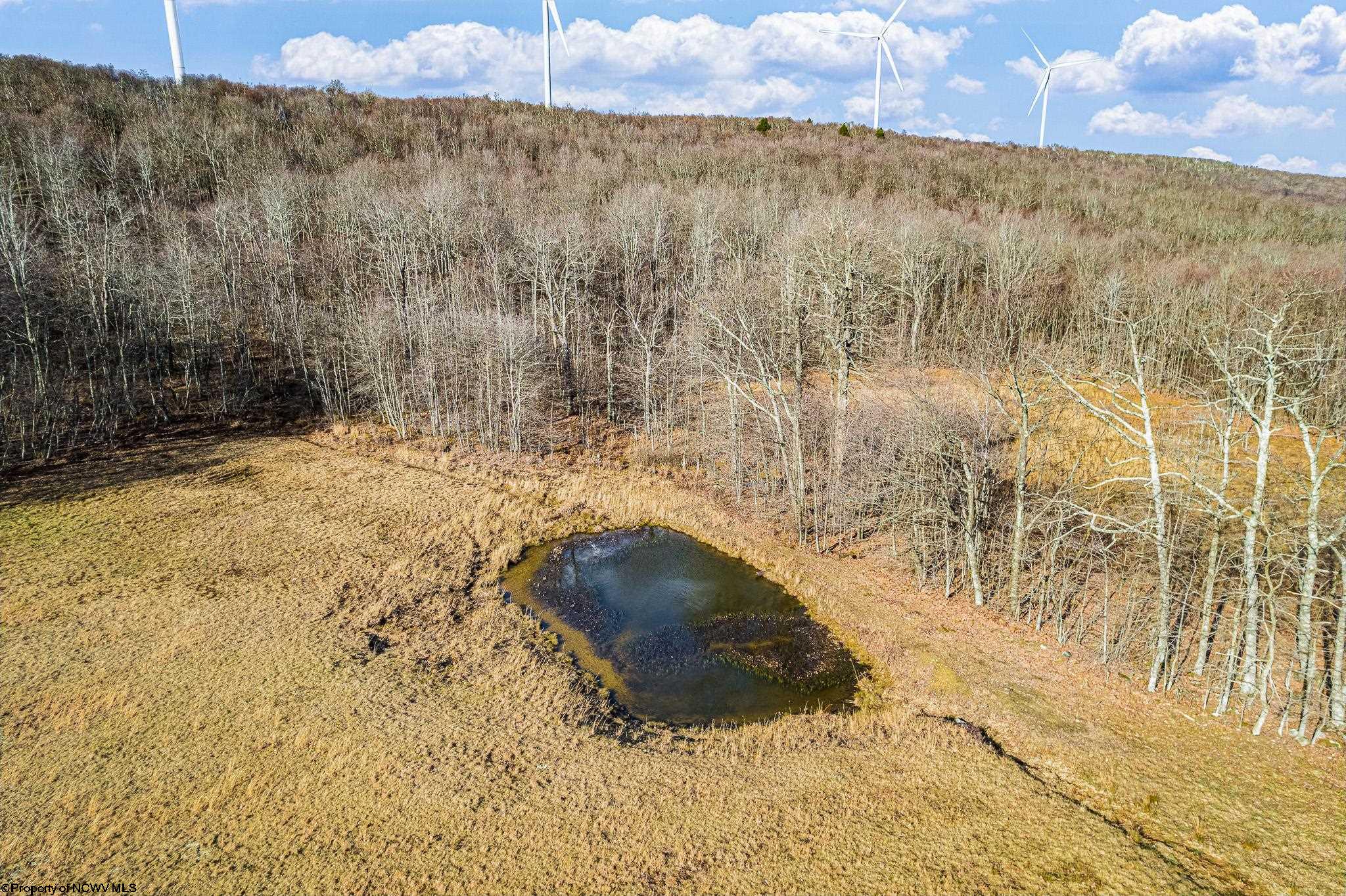 Oakland, Maryland 21550, United States, 2 Bedrooms Bedrooms, ,1 BathroomBathrooms,Residential,Active,21991