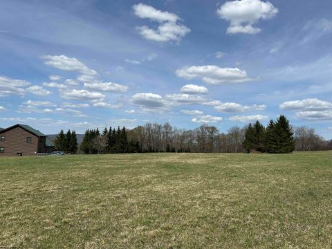 Photo of Lot 2 Pointy Knob Road, Davis, WV 26260 (MLS # 10159134)