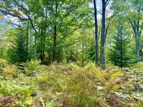 Photo of Lot 9 Chickadee Drive, Davis, WV 26260 (MLS # 10166498)