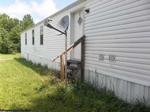Photo of 100 Nelson Howard Lane, French Creek, WV 26218 (MLS # 10160062)
