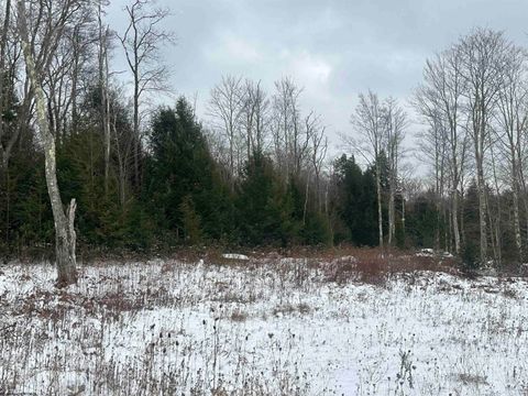 Photo of Lot 85 Gondola Court, Davis, WV 26260 (MLS # 10162632)