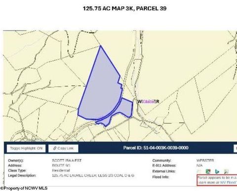 Photo of 245 Whiteoak Road, Erbacon, WV 26203 (MLS # 10162010)