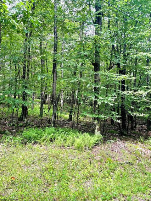 Photo of Lot 120 Hemlock Circle, Terra Alta, WV 26764 (MLS # 10155325)