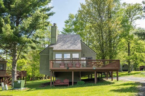 Photo of 89 Honey Pot Lane, Davis, WV 26260 (MLS # 10164985)