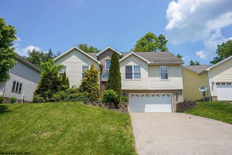 Photo of 307 Villa View Drive, Morgantown, WV 26505 (MLS # 10164968)
