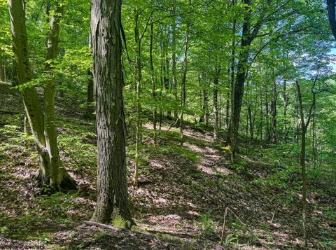 Photo of TBD Rush Run Road, Fairview, WV 26570 (MLS # 10160864)