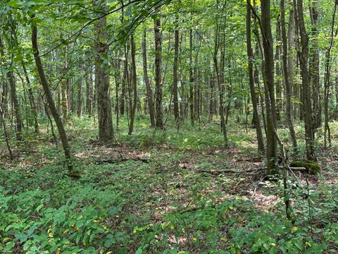 Photo of 31 Oak Drive, Albright, WV 26519 (MLS # 10164398)