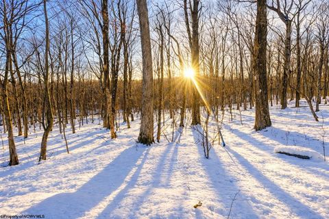 Photo of TBD Ash Court, Terra Alta, WV 26764 (MLS # 10163152)