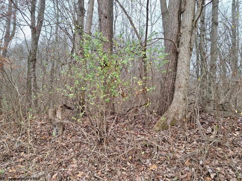 Photo of 0 Jack Run Road, Bridgeport, WV 26330 (MLS # 10162555)