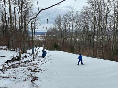 Photo of Lot 83 Hillside Drive, Davis, WV 26260 (MLS # 10162940)