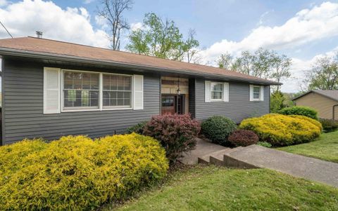 Photo of 813 Cottonwood Street, Morgantown, WV 26505 (MLS # 10164500)