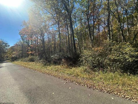 Photo of 653 Pine Drive, Terra Alta, WV 26764 (MLS # 10162046)