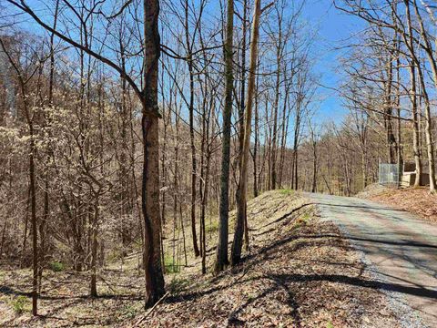 Photo of TBD Lynn Chapel Road, Grafton, WV 26354 (MLS # 10162846)
