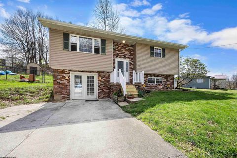 Photo of 30 Hillside Drive, Buckhannon, WV 26201 (MLS # 10164057)