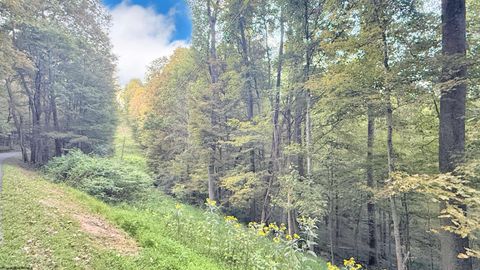 Photo of Lot 1 FLAG RUN Road, Grafton, WV 26354 (MLS # 10161479)