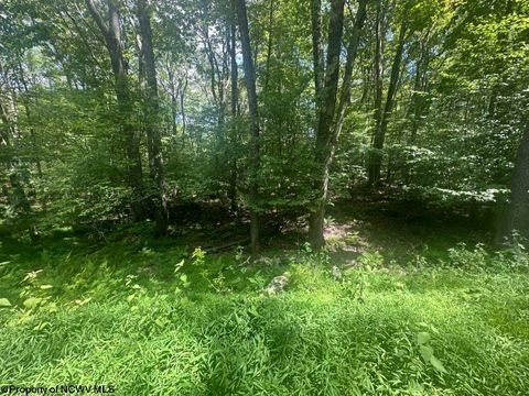 Photo of 222 Woodbine Drive Lot 222 Alpine Section, Terra Alta, WV 26764 (MLS # 10160719)