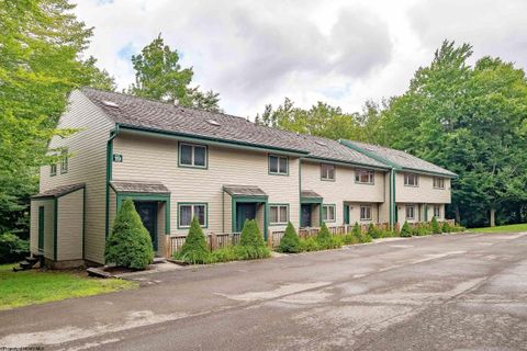 Photo of 19 Snowflake Circle #Unit, Davis, WV 26260 (MLS # 10161872)
