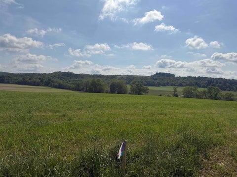 Photo of 0 Clifton Salem Road, Bruceton Mills, WV 26525 (MLS # 10165310)