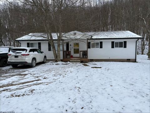 Photo of 849 Shawnee Drive, Buckhannon, WV 26201 (MLS # 10163315)