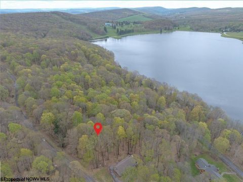 Photo of Lots 153-154 Clover Drive, Terra Alta, WV 26764 (MLS # 10164981)