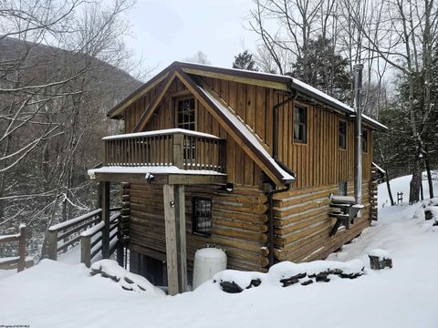 Photo of 390 Dolly Lane, Dryfork, WV 26263 (MLS # 10163052)