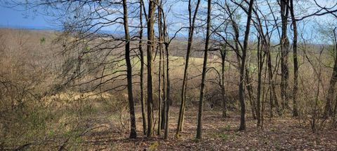Photo of Lot 8 Brewer Road, Morgantown, WV 26508 (MLS # 10164097)