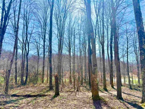 Photo of Lot 21 POPLAR Drive, Grafton, WV 26354 (MLS # 10163840)