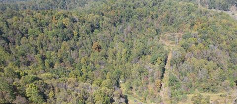 Photo of TBD FLAG RUN Road, Clarksburg, WV 26301 (MLS # 10162328)