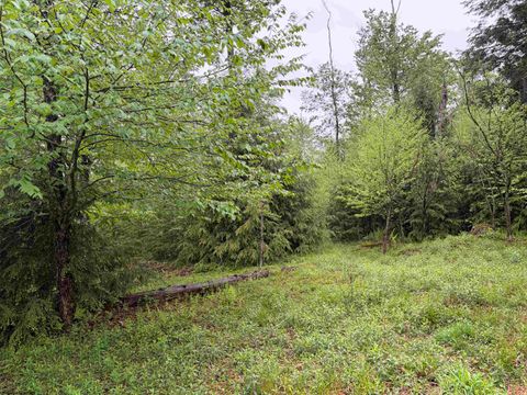 Photo of Lot 76 Bassilla Way, Davis, WV 26260 (MLS # 10164635)