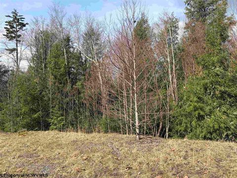 Photo of Lot 76 Bassilla Way, Davis, WV 26260 (MLS # 10164635)