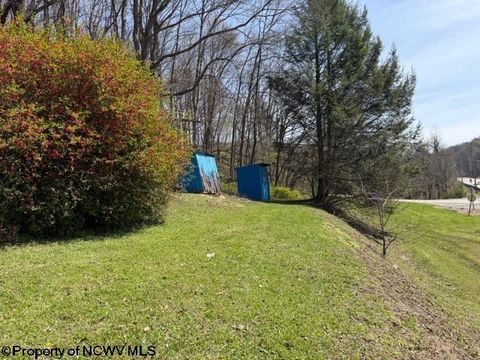 Photo of 1011 S Main Street, Philippi, WV 26416 (MLS # 10164156)
