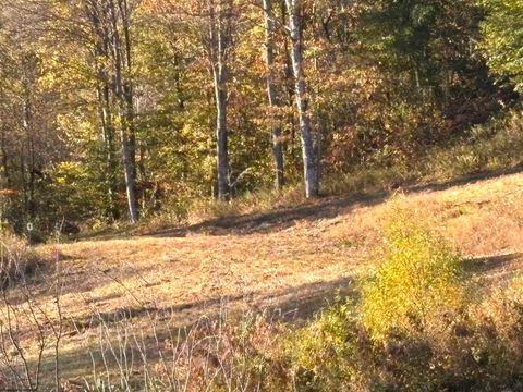 Photo of Lot 12 Island Road, Junior, WV 26275 (MLS # 10162027)