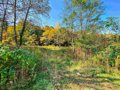 Photo of Lot 1 Blizzards Gate Road, Harman, WV 26270 (MLS # 10156844)