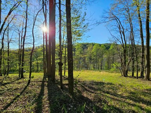 Photo of TRACT 3 ISNER Run, Elkins, WV 26241 (MLS # 10163170)