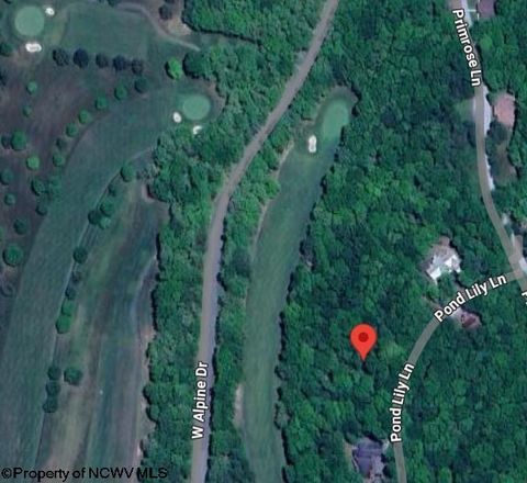 Photo of 283 Pond Lily Lane, Terra Alta, WV 26764 (MLS # 10160041)