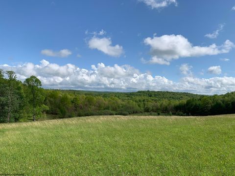 Photo of 111 Briar Ridge Lane, Ellamore, WV 26267 (MLS # 10160979)