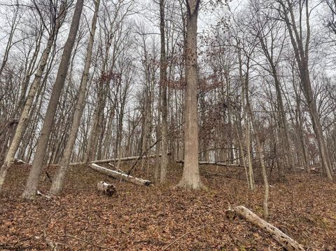 Photo of Lot 1 States Fork Road, Metz, WV 26585 (MLS # 10162745)
